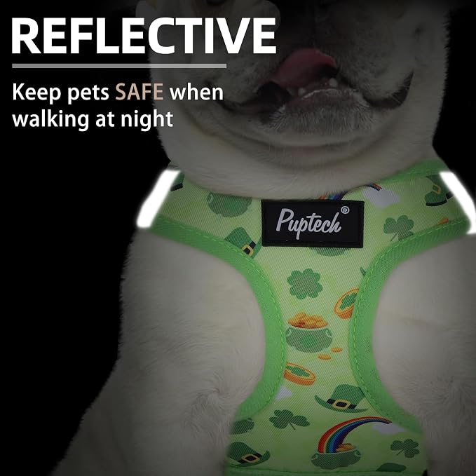 PUPTECK Dog Harness and Leash Set - Image 4