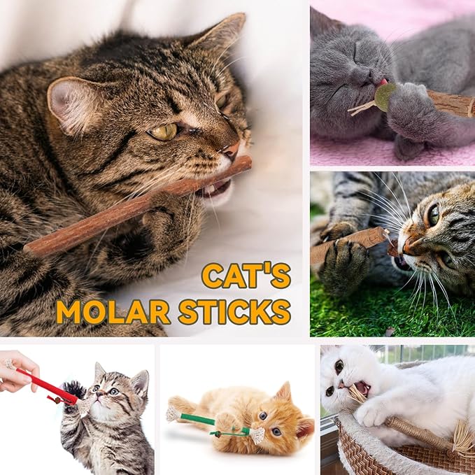 Kyouki Cat Toys Cat Chew Toys, Kitten Dental Care, Kitty - Image 3