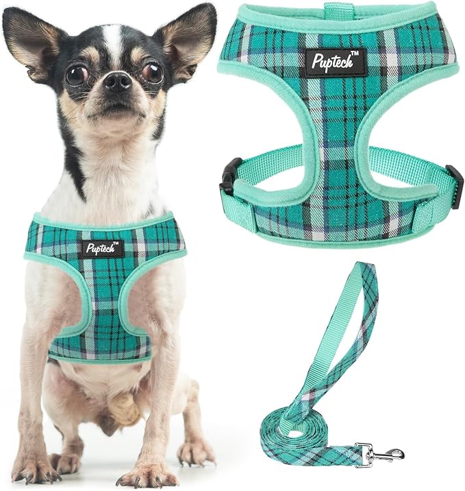 PUPTECK Soft Mesh Dog Harness and Leash Set Pet Puppy Cat Comfort Padded Vest by PUPTECK