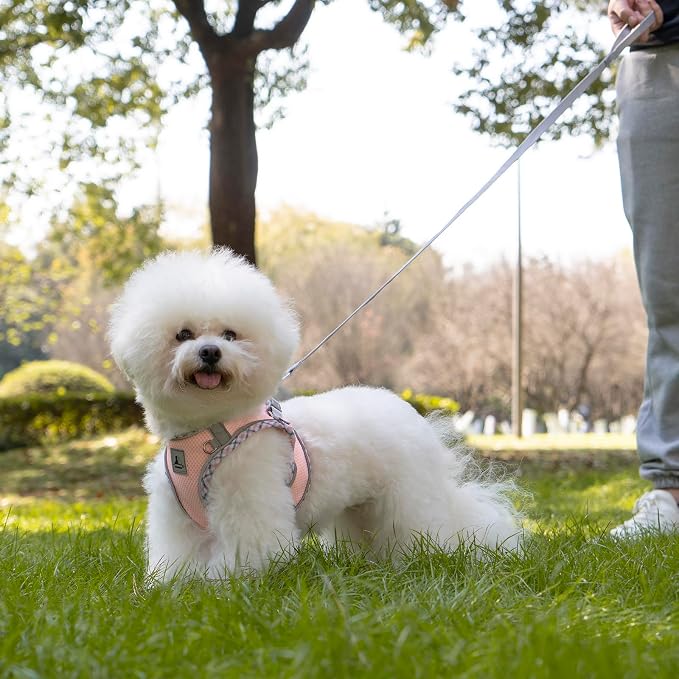 Dog Harness & Leash Set - Image 7