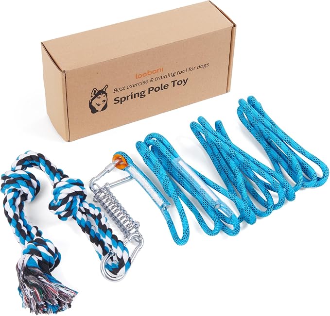 LOOBANI Spring Pole Toy for Pitbull: Bungee Tug of War Toys for Small Large by LOOBANI