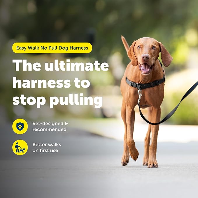 PetSafe Easy Walk Harness for Dogs - Image 2