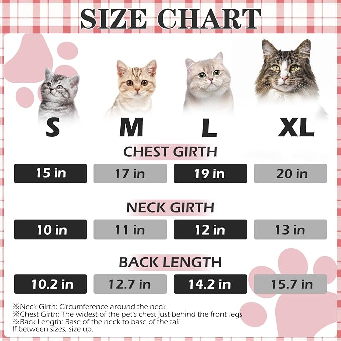 EXPAWLORER Plaid Cat Hoodie - Image 2