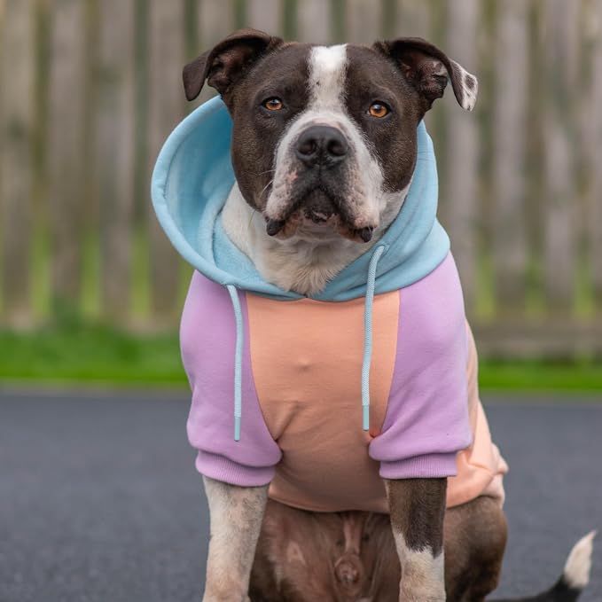 Spark Paws Dog Hoodie – Premium Dog Sweater - Image 3