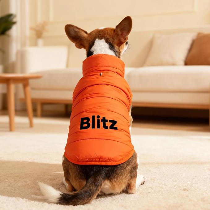Personalized Dog Winter Coat - Image 3