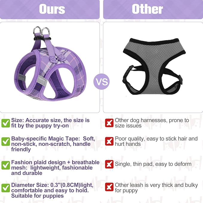 BEAUTYZOO Small Dog Harness and Leash Set, Step in No Choke No Pull Soft Mesh - Image 4