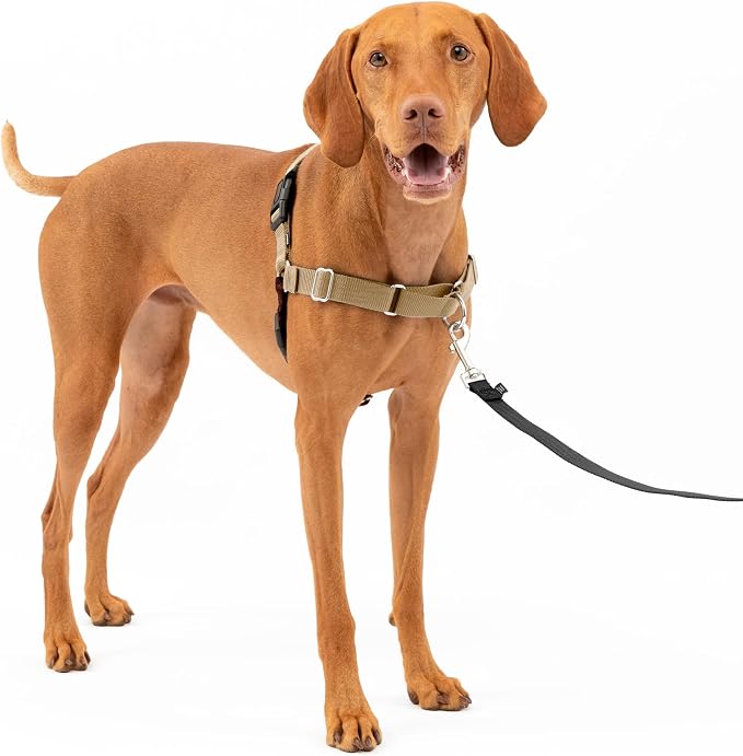 PetSafe Easy Walk No-Pull Dog Harness by PetSafe