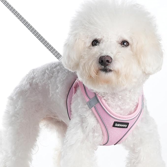 Solmoony Sparkly Medium Dog Harness and Leash Set, Step in Soft Light Puppy Vest - Image 2