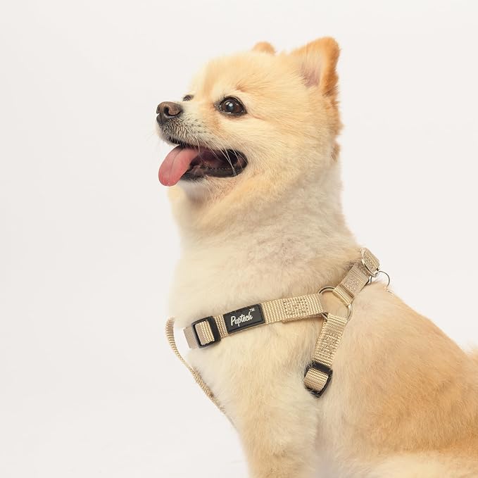 PUPTECK No Pull Dog Harness Soft Adjustable Basic Nylon Step in Puppy Vest - Image 5