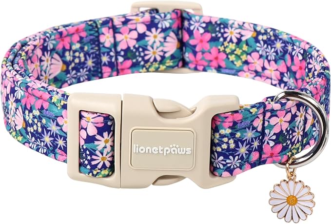 Lionet Paws Floral Dog Collar- Cute Spring Wildflowers Daisy Fleabane Dog by lionetpaws