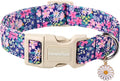 Lionet Paws Floral Dog Collar- Cute Spring Wildflowers Daisy Fleabane Dog by lionetpaws
