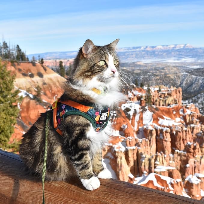 Travel Cat Harness and Leash Set - Image 9