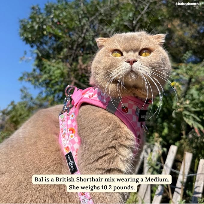 Lucy & Co. Cutie Patootie Step-in Cat Harness & Leash Bundle – Reflective - Image 7