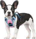 rabbitgoo Dog Harness No Pull by rabbitgoo