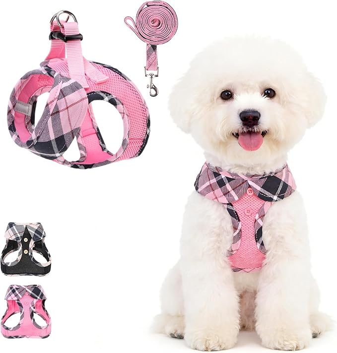 KOOLTAIL Dog Harness and Leash Set, Cute Pink Girl Dog Harness Medium Sized Dog by KOOLTAIL