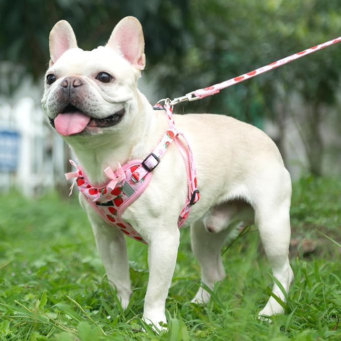 PUPTECK Dog Harness and Leash Set Small Sized, Step in No Pull Adjustable Puppy - Image 5