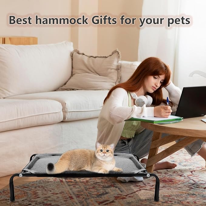 Newly Upgraded Elevated Cat Beds - Image 2
