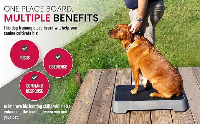 HUNTMARK Dog Training Place Board - Image 6