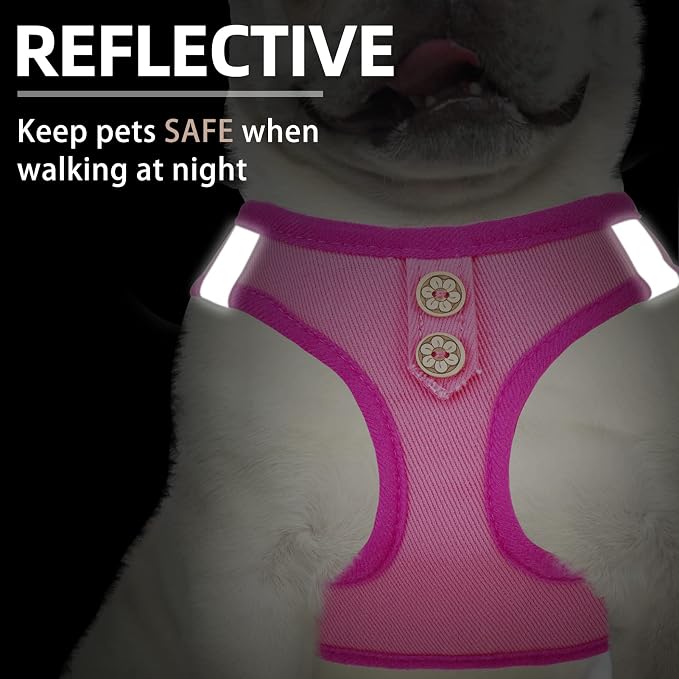 PUPTECK Dog Harness and Leash Set - Image 5