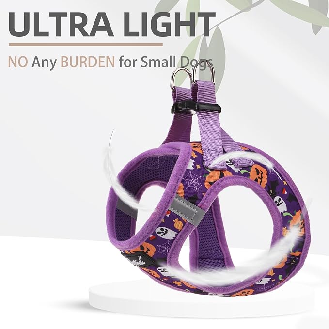 PUPTECK Dog Harness and Leash Set - Image 5