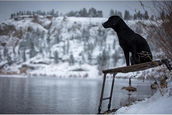 Momarsh Final Stand Dog Adjustable Training Platform & Storage Panel | Hunting - Image 6