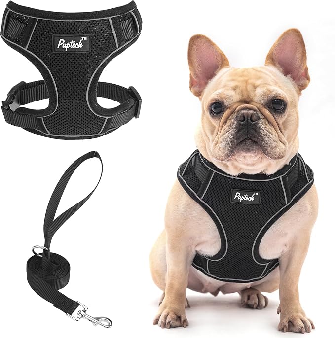 PUPTECK Small Dog Harness and Leash Set, No Pull Adjustable Puppy Cat Harness by PUPTECK