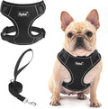PUPTECK Small Dog Harness and Leash Set, No Pull Adjustable Puppy Cat Harness by PUPTECK