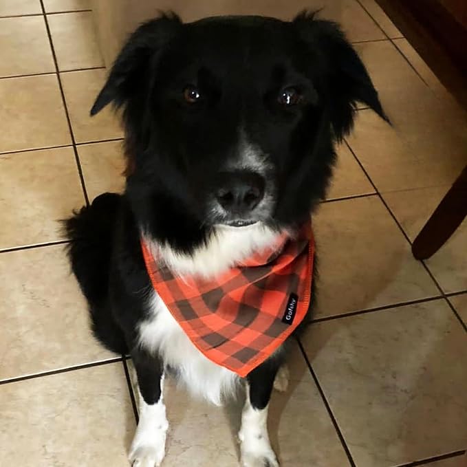 Dog Bandana Fall XLarge-Orange Brown Dog Scarf Buffalo Plaid Printing - Image 5