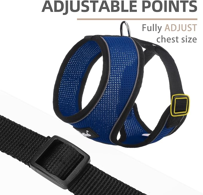 PUPTECK Soft Mesh Dog Harness and Leash Set Pet Puppy Cat Comfort Padded Vest - Image 3