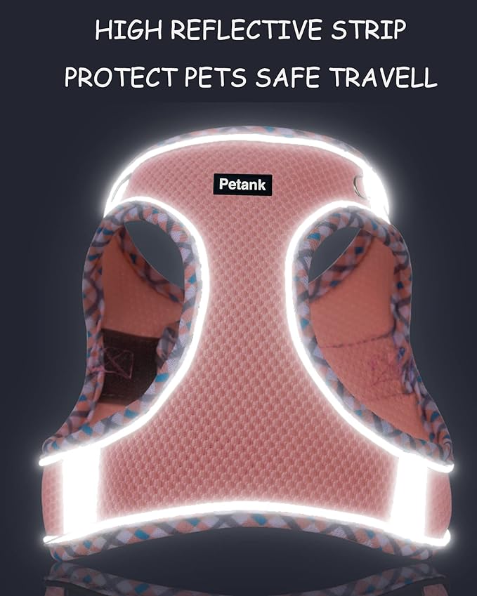 Petank Dog Harness for Small Medium Dogs No Pull, Puppy Harness and Leash Set - Image 4