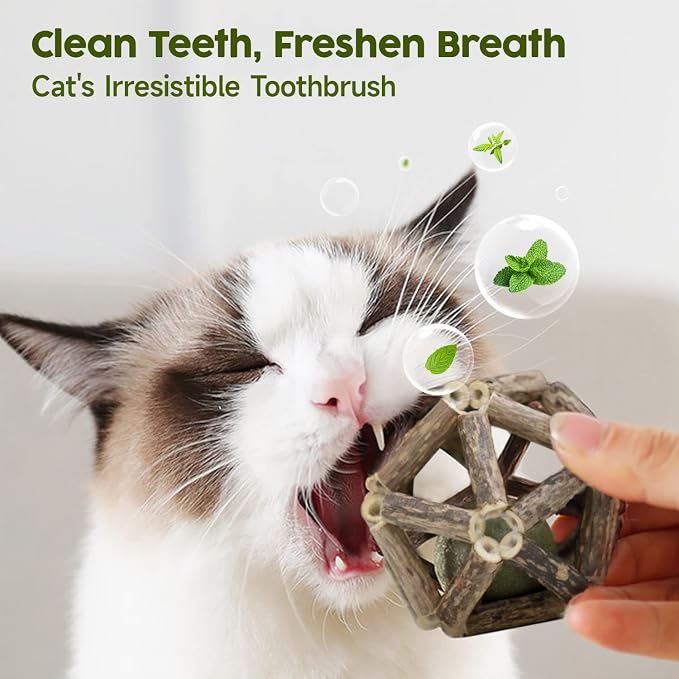 Potaroma Catnip Toys, Kitten Cleaning Teeth Molar Matatabi Cat Chew Toy All - Image 4