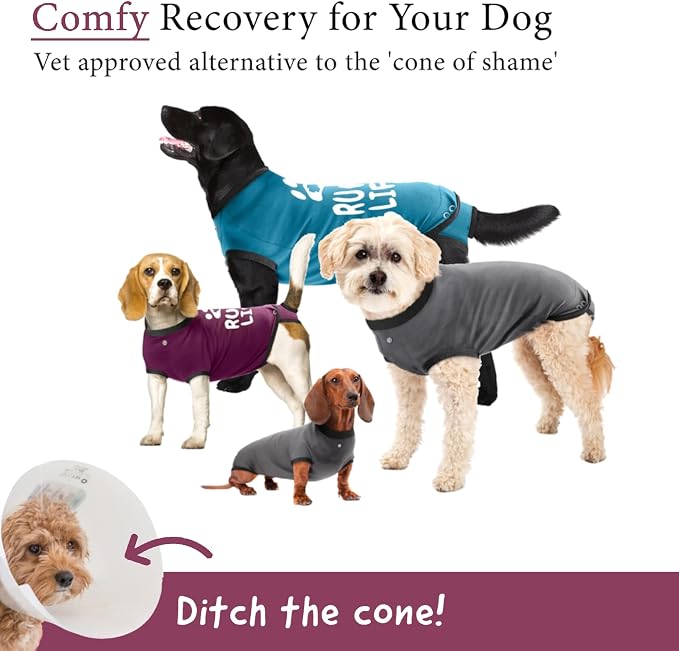 BellyGuard Dog Surgery Recovery Suit, Dog Onesie - Image 2