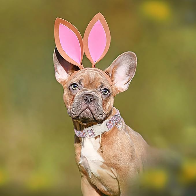 Lionet Paws Cute Pink Rabbit Eggs Dog Collar - Image 2