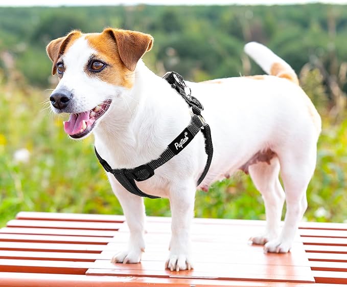 PUPTECK No Pull Dog Harness Soft Adjustable Basic Nylon Step in Puppy Vest - Image 6