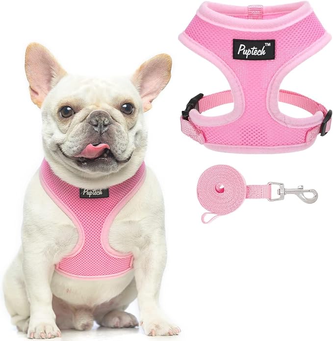 PUPTECK Soft Mesh Dog Harness and Leash Set Pet Puppy Cat Comfort Padded Vest by PUPTECK