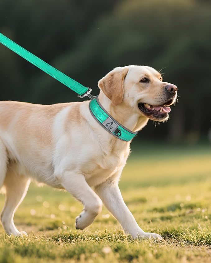 Joytale Dog Collar for Large Dogs, Neoprene Padded and Adjustable, Reflective - Image 6