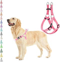 PUPTECK No Pull Dog Harness Soft Adjustable Basic Nylon Step in Puppy Vest by PUPTECK