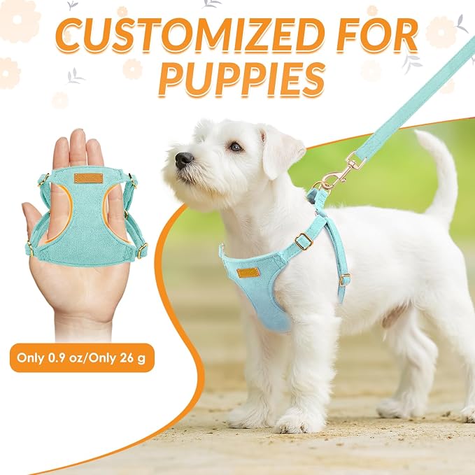 SlowTon Dog Harness Small Sized Dog - Image 2