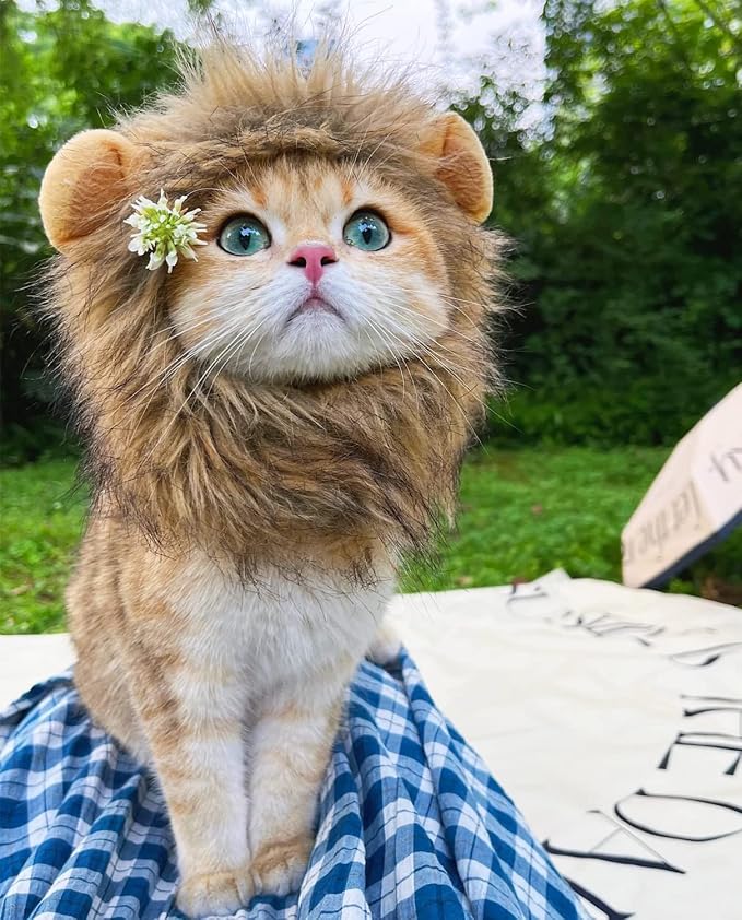 Lion Mane Wig for Cat, Cat Costume, Puppy Costume, Funny Pet Costumes for - Image 6