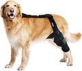 Dog Knee Brace for Hind & Rear Legs – Canine Leg Support for ACL, and Cruciate by MerryMilo
