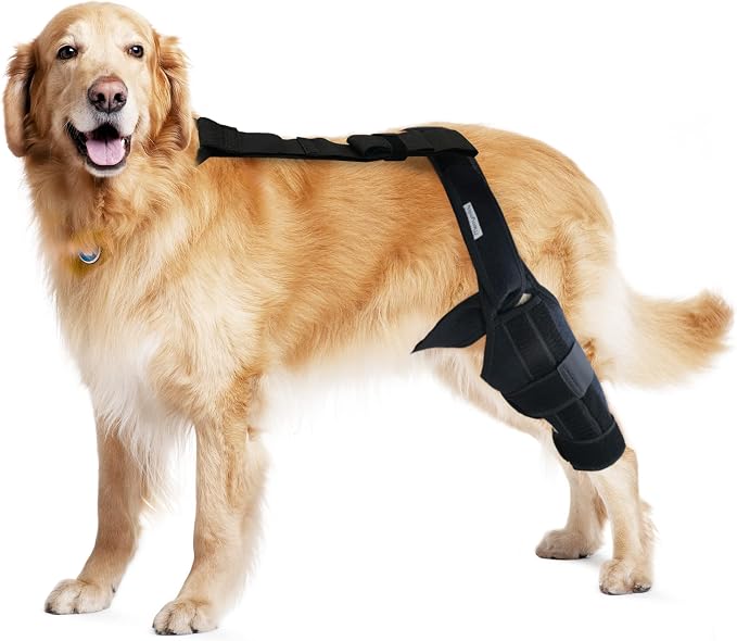 Dog Knee Brace for Torn ACL Hind Leg, Canine Leg Support for ACL/CCL & Cruciate by MerryMilo