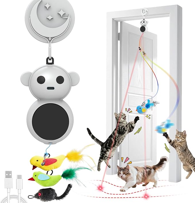 Interactive Cat Toys for Indoor Cats: 2 in 1 Laser Pointer Cat Toy by Unknown