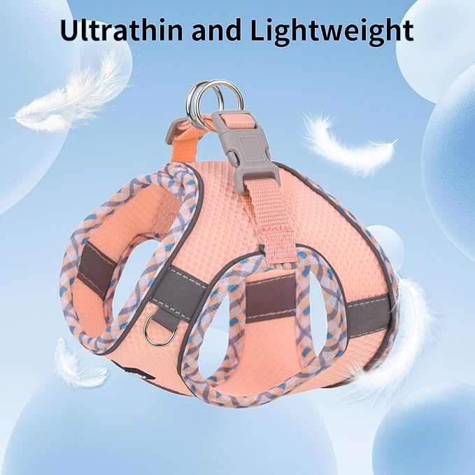 AIITLE Dog Harness and Leash Set - Image 7