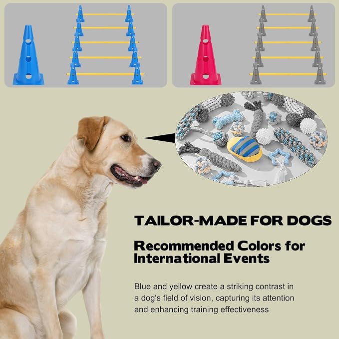 Dog Agility Hurdle Cone Set, 10er 12.5Inch Agility Cones and 5er 31.5Inch - Image 4