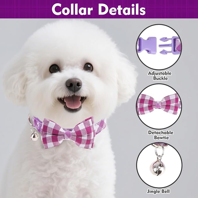 EXPAWLORER Cute Dog Harness Collar Leash Set - Image 4
