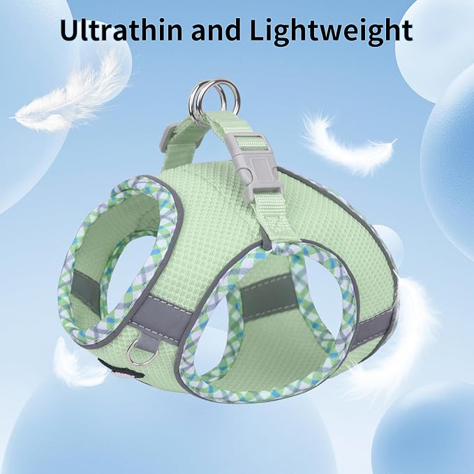 AIITLE Small Dog Harness - Image 3