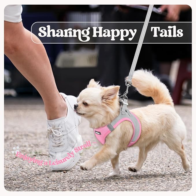 rabbitgoo Dog Harness Small Sized and Leash Set, Step in Soft Light Puppy Vest - Image 9