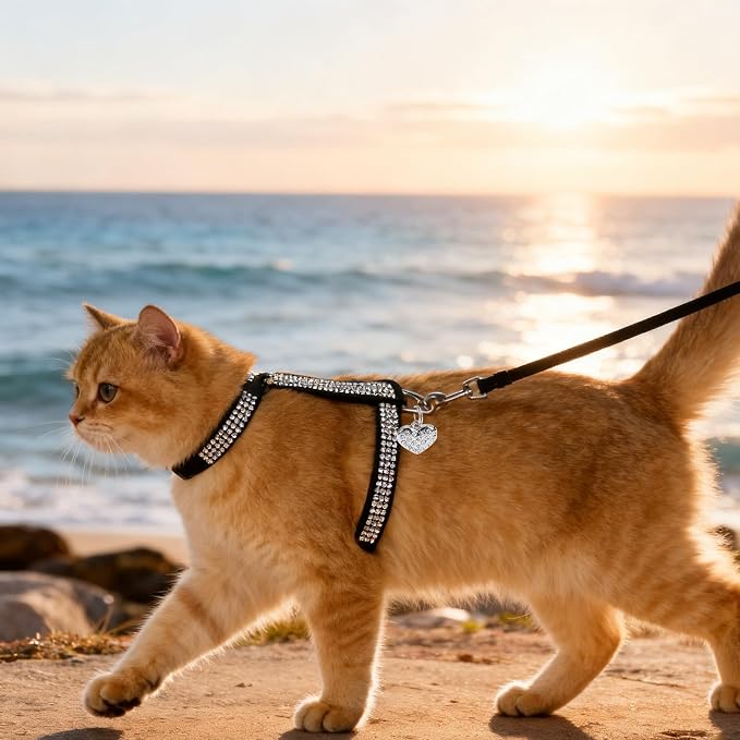 EXPAWLORER Cat Harness and Leash Set - Image 8