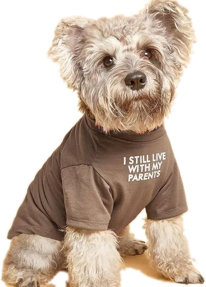 Cute Dog Clothes, Dog T Shirt for Medium Dogs, Small Dogs Girl Boy, by HipGirl