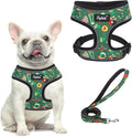PUPTECK Soft Mesh Dog Harness and Leash Set Pet Puppy Cat Comfort Padded Vest by PUPTECK